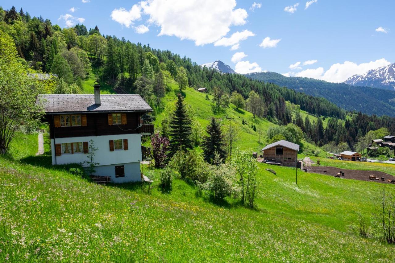 Chalet Orion Бельвальд Екстер'єр фото